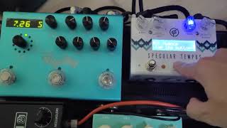 strymon big sky vs specular tempus reverb sound [upl. by Lazare]