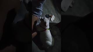 MASSAGE PEPPER FOR THE FOODS adonayvlog6466 [upl. by Cormier666]