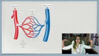 Fisiologia da Microcirculação Parte 1 [upl. by Ingeborg]