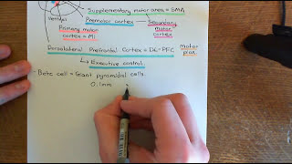 Amyotrophic Lateral Sclerosis ALS Part 1 [upl. by Atilef612]