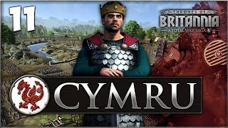 THE CONQUEST OF CORNWALL Total War Saga Thrones of Britannia  Cymru Campaign 11 [upl. by Renae]