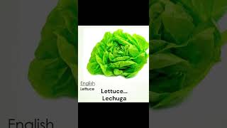 75 verduras y plantas en inglés [upl. by Archibaldo]