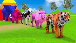 Long Slide Game With Elephant Gorilla Buffalo Hippopotamus Tiger  3d Animal Game  Funny 3d Animals [upl. by Wadleigh290]