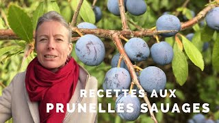 Prunelles sauvages [upl. by Anastasia256]