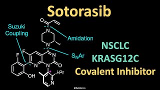 Sotorasib – Mechanism of Action and Synthesis [upl. by Esenahs]