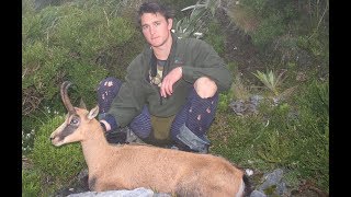 Chamois Hunting Torlesse Range Canterbury  Archive footage from 2005 [upl. by Hobart26]