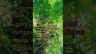 Sanyasini  G Devarajan  Vayalar Ramavarma  KJ Yesudas  shortvideo [upl. by Teufert]