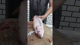 snapper fish cutting skillspleasesubscribemychannelshortvideowatchlikeshere comment [upl. by Gschu]