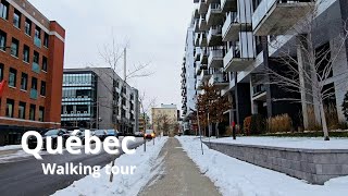 Chemin SteFoy  CÉGEP Garneau  ❄ Walking in Quebec city ❄  December Tour 2023 UHD [upl. by Kynthia]