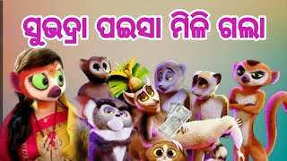 sambalpuri comedy subhadra yojana  sambalpuri comedy 2024  rr funny [upl. by Erroll]