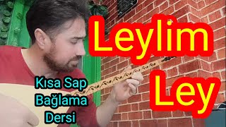 Leylim Ley  Kısa Sap Bağlama Solfej bağlamasolfej sazdersi türkü keşfet [upl. by Valaree]