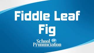 Learn How To Pronounce FiddleLeaf Fig [upl. by Dag]