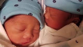 Monochorionic Diamniotic Twins I Identical Twins I Share the Same Placenta I TWINventures [upl. by Anitsyrhk]