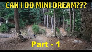 Can I Do Mini Dream Pt 1 [upl. by Flossy]