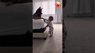 Funny Babies Playing with Dogs Compilation  Funny Babies and Pets short funny cutebaby [upl. by Orferd476]