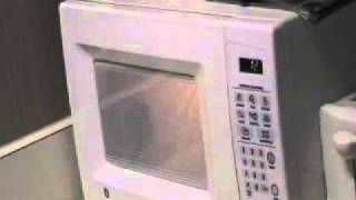 WOMAN COOKS BEAR IN MICROWAVE [upl. by Aibun]