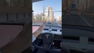 渋滞してる時ほど便利なテスラのオートパイロット テスラ tesla モデル3 model3 autopilot ev shorts [upl. by Eirrab]