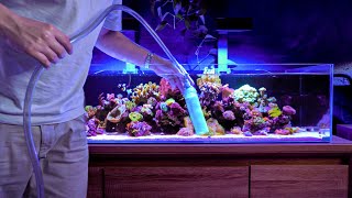 My Low Tech Reef Tank Maintenance Routine [upl. by Htiekel362]