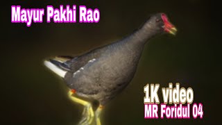 Mayur Pakhi Rao video MR Foridul 04 [upl. by Fowler]