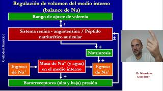 Principio fisiológico de control o de sistema de control ¿qué establece y para qué se usa [upl. by Clementis]