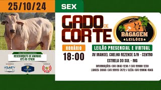 🐂 LEILÃO DE GADO DE CORTE  BAGAGEM LEILÕES  25102024 🐂 [upl. by Nyladnor]