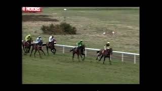 1995 Velka Pardubicka Grimthorpe Handicap Chase [upl. by Llenyaj]