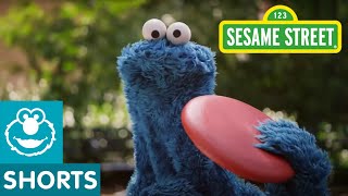 Sesame Street Catch allnew episodes of Sesame Street [upl. by Ravahs]