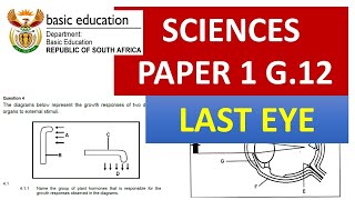 2023 LIFE SCIENCE PAPER 1 GRADE 12 LAST MINUTE MSAIDI [upl. by Broddy]