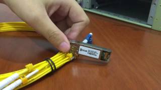 How to install and remove 10G SFP SR Modules [upl. by Emmi]