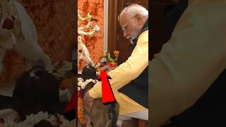 ये काम करती है मोदीजी की पत्नी Modijis wife does this work shortvideo modiji [upl. by Siffre132]