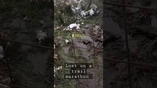 Lost on a trail marathon 😬 marathon ultramarathon trailrunning trailmarathon runningmotivation [upl. by Male]