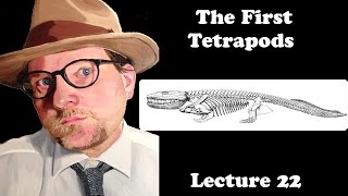 Lecture 22 The First Tetrapods [upl. by Flessel184]