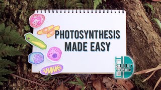 ALevel Biology  Photosynthesis made easy [upl. by Oslec375]