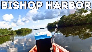 Kayaking Bishop Harbor  TAMPA BAY [upl. by Ezechiel217]