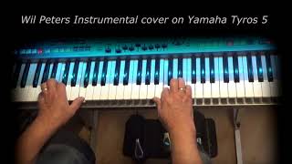 Zeg maar niets meer Wil Peters Instrumental cover on Yamaha Tyros 5 [upl. by Tedmann502]