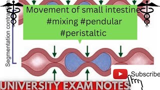 movements of small intestinetypes of small intestine movementsmedicoscontent3135 [upl. by Yrogerg204]