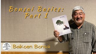 Bonsai Basics Part1 with Lindsay Shiba  Bonsai Techniques  Baikoen Bonsai Club [upl. by Yelkrab795]