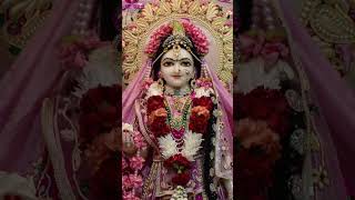 🌹हमारो मन राधा ले गई 🌻Radha ytshorts ytviralvideo radhakrishnalove radheradhe [upl. by Girovard]