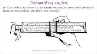 The Power of LogLog Plots [upl. by Eiram817]