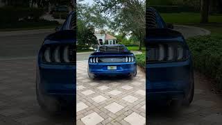 Loudest 50 Mustang Cold Start and Idle on E85 [upl. by Bum854]