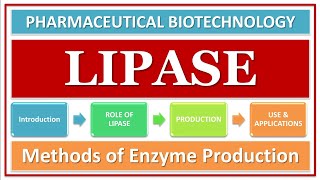 LIPASE ENZYME  ITS FUNCTION amp ROLE  PRODUCTION USING MICROBES  APPLICATIONS  BIOTECHNOLOGY [upl. by Rufford356]