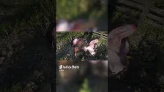 Skinning a Bear in RDR2 LIKE AND SUBSCRIBE [upl. by Inaboy]