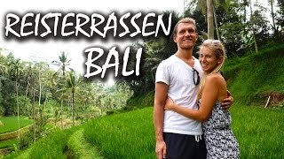 Die Tegalalang Reisterrassen 🌴 Wunderschönes Bali  Backpacking Indonesien  VLOG 99 [upl. by Terchie]