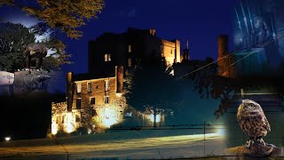 My Experience at the Haunted Dalhousie Castle Where Haunted History Meets Luxury [upl. by Dunaville]