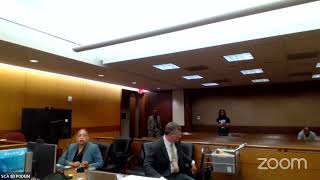 Judge McBurney Trial State v Parks amp Phillips DAY 2 [upl. by Ydnil179]