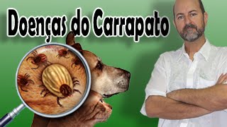 DOENÇAS DOS CARRAPATOS [upl. by Leahkim657]