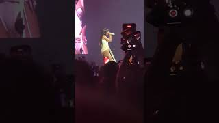 doja cat say so live in newcastle 150624 the scarlet tour [upl. by Yrahca]