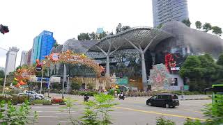 Singapore「Orchard Road」20241103 [upl. by Serg]