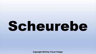 How To Pronounce Scheurebe Wine [upl. by Lien]