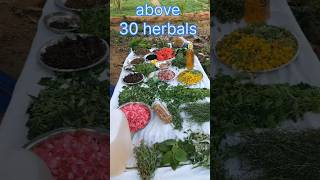 ayurvedic hair oil haircare viral shortsfeed ayurvedicoil hairoil garden farmeragriculture [upl. by Edualcnaej]